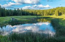 1451 Coon Hollow Road, Kila