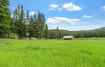 1451 Coon Hollow Road, Kila