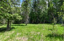 265 Shooting Star Circle, Whitefish