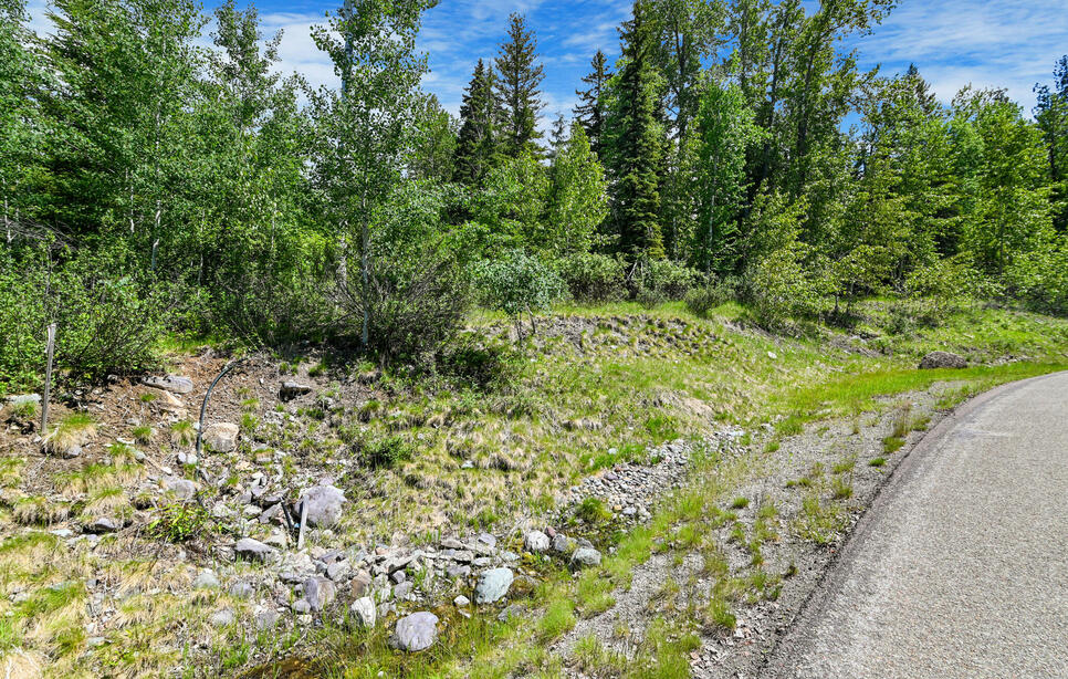 265 Shooting Star Circle, Whitefish