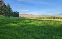 Nhn Old Hot Springs Road, Hot Springs