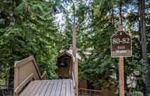 82 Limber Pine, Whitefish