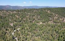 76 Hodge Ridge, Kila