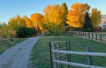 30445 Walking Horse Lane, Big Arm