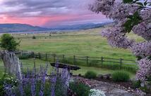 30445 Walking Horse Lane, Big Arm