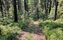 Nhn Clark Hinchwood Road, Hot Springs