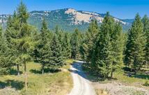 1695 Wild Bill Road, Kila