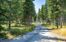 1695 Wild Bill Road, Kila
