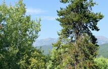 972 Colorado Avenue, Whitefish