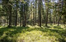 650 Boulder Ridge Trail, Columbia Falls
