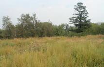 171 Westland Drive, Kalispell
