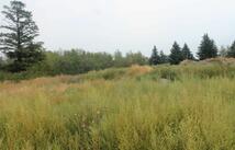 171 Westland Drive, Kalispell