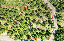 535 Bear Mountain Road, Lakeside