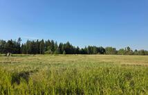 2440 Trumble Creek Road, Kalispell