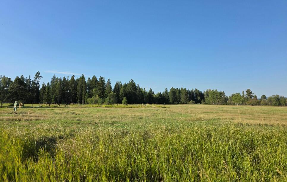 2440 Trumble Creek Road, Kalispell