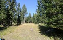 Nhn Jewel Basin Ranch Road, Bigfork