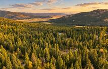 106 Bent Pine Lane, Kila