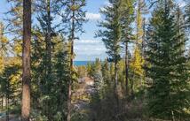 163 Pine Needle Drive, Lakeside