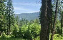 56 Wood Ridge Drive, Columbia Falls