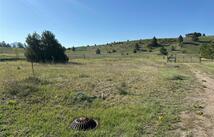 19 Long Lake Drive, Polson