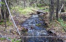 Nhn Little Deer Drive, Plains