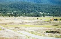 306 Caye Drive, Elmo