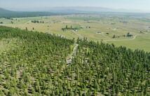 526 Northern Larch Trail, Kalispell