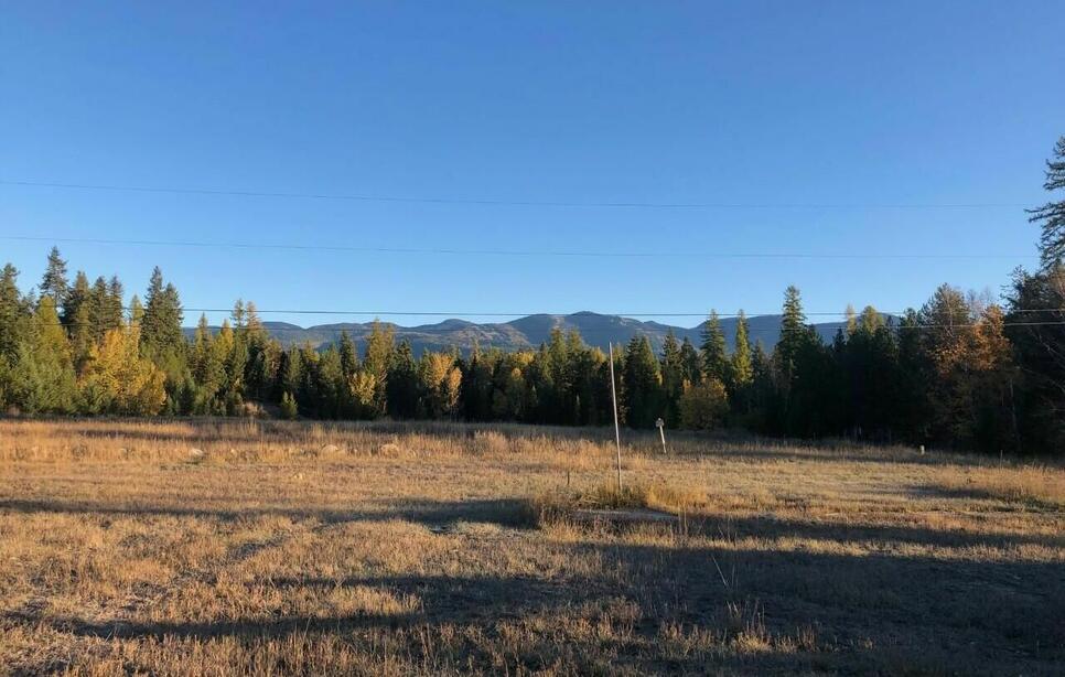 270 Lake Park Lane, Whitefish