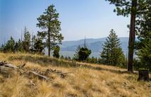 222 Eagle View Road, Kila