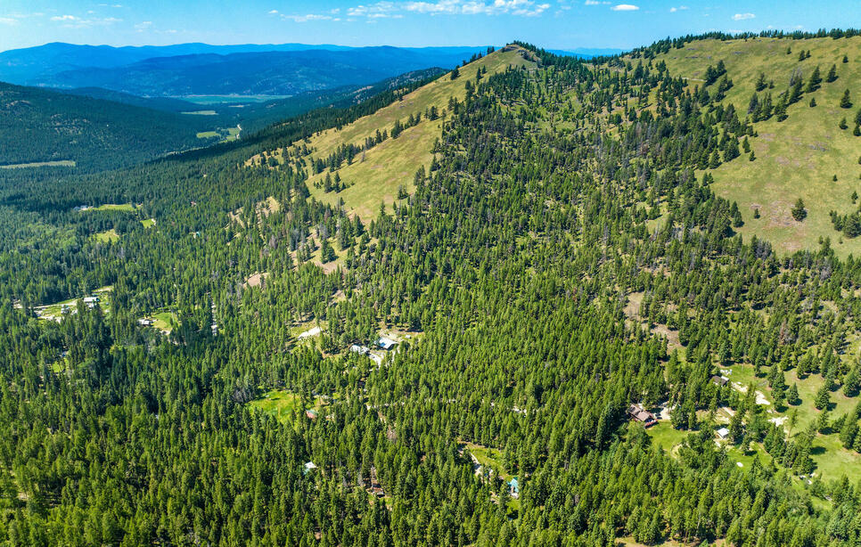 1805 Emmons Canyon Road, Kila