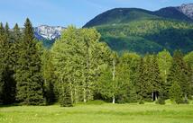 Nhn Wolf Creek Ranch Road, Bigfork