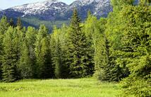 Nhn Wolf Creek Ranch Road, Bigfork