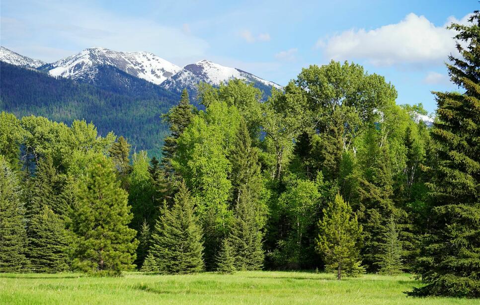 Nhn Wolf Creek Ranch Road, Bigfork