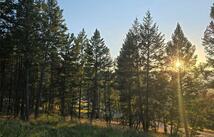 218 Walking Coyote Drive, Kalispell