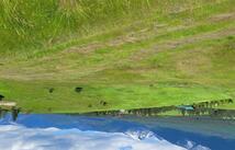 417 Little Creek Road, Eureka