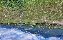 417 Little Creek Road, Eureka