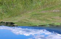 417 Little Creek Road, Eureka