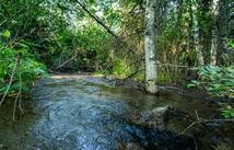 Nhn Windhaven, Bigfork