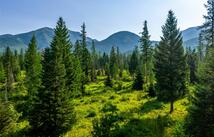 Nhn Windhaven, Bigfork