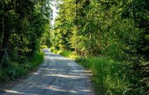 Nhn Windhaven, Bigfork