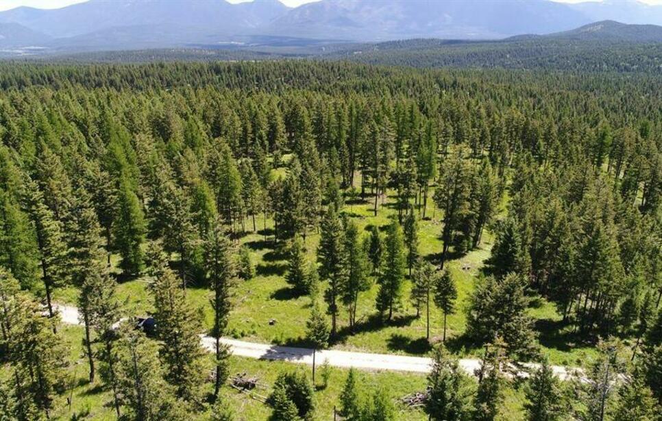 Lot 1 B Meadow Springs Road, Fortine