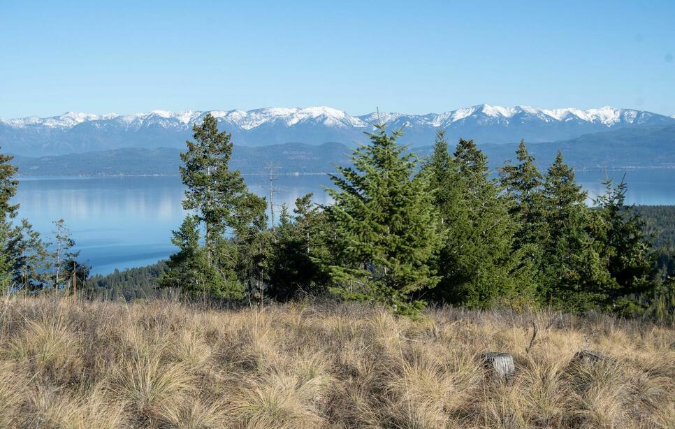 351 Ridge Line Drive, Lakeside