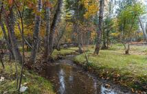 273 Pine Valley Court, Columbia Falls