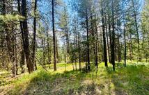 2890 Lower Lost Prairie Road, Marion