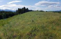 180 Grassy Loop, Eureka