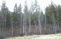 Nhn Browns Meadow Road, Niarada