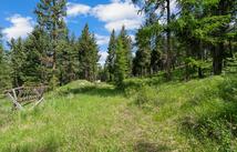 437 Buffalo Trail, Somers