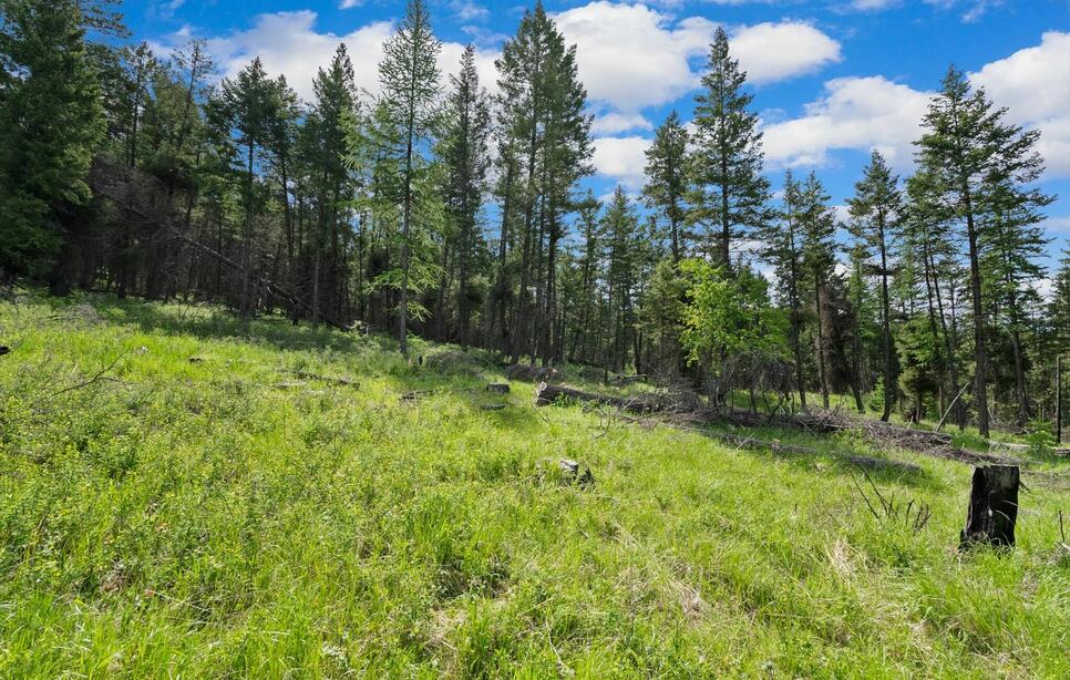 437 Buffalo Trail, Somers