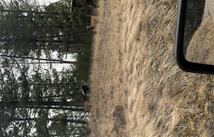 4144 Indian Creek Road, Eureka