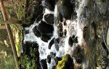 4144 Indian Creek Road, Eureka